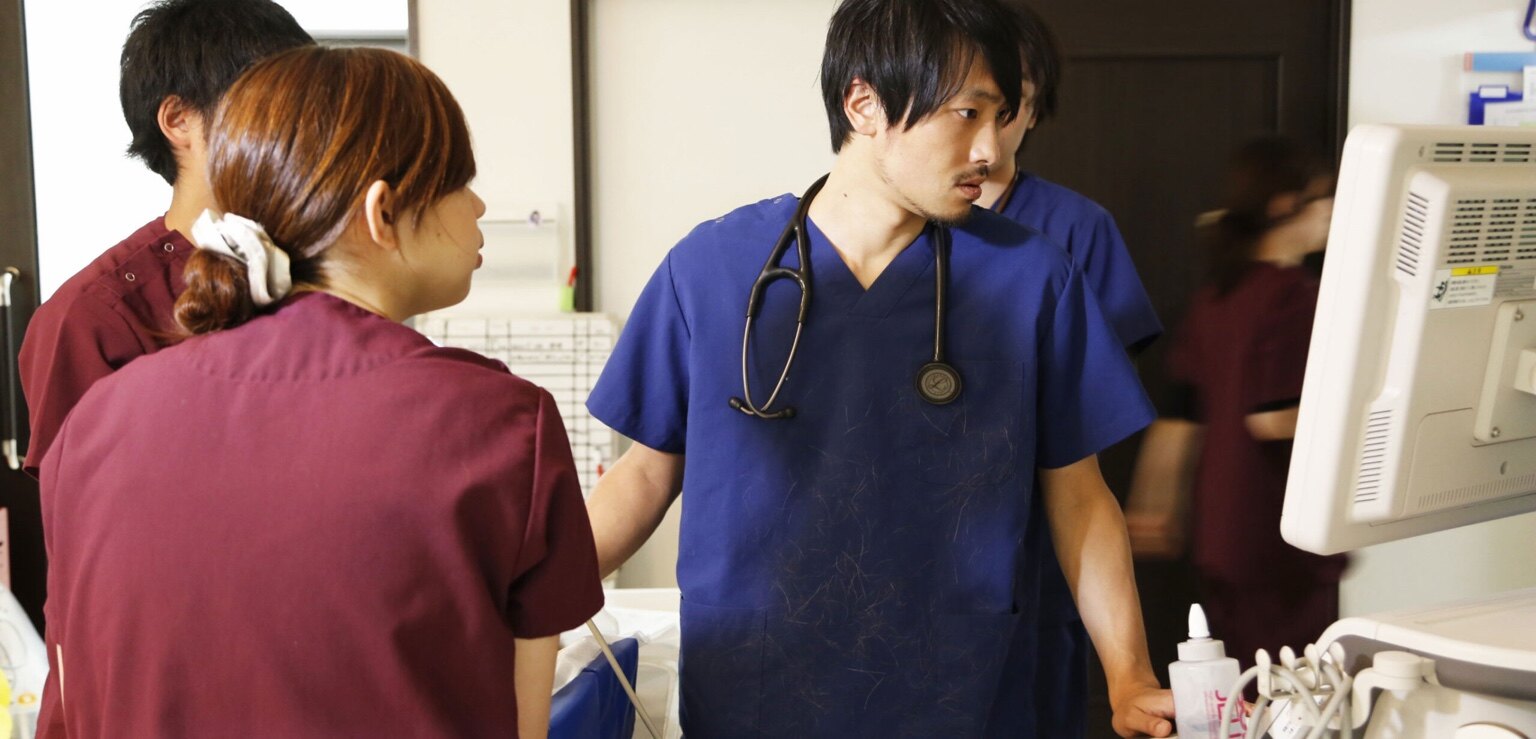 Veterinary clinical team