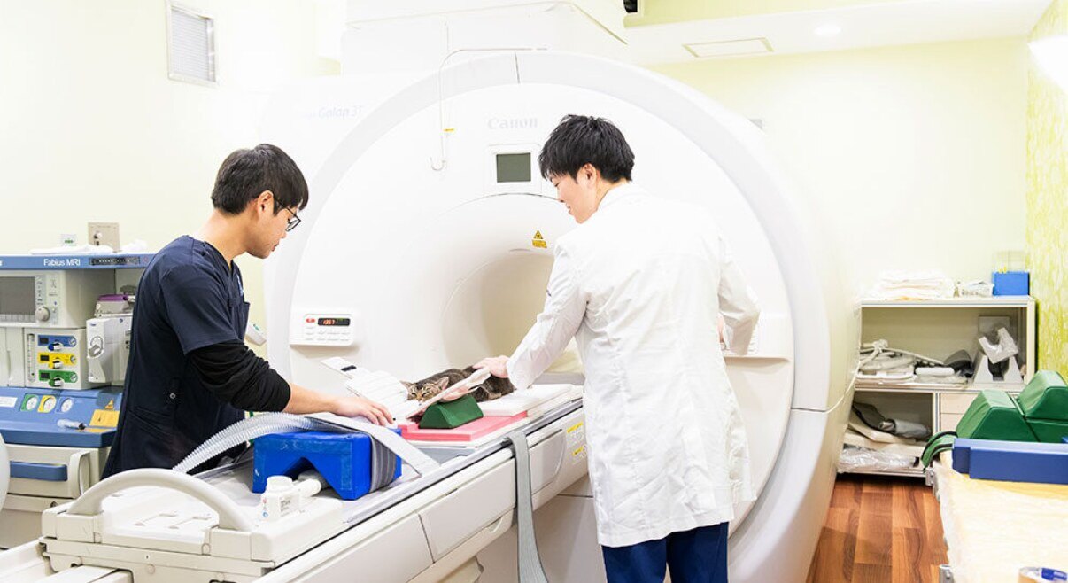 Veterinary MRI