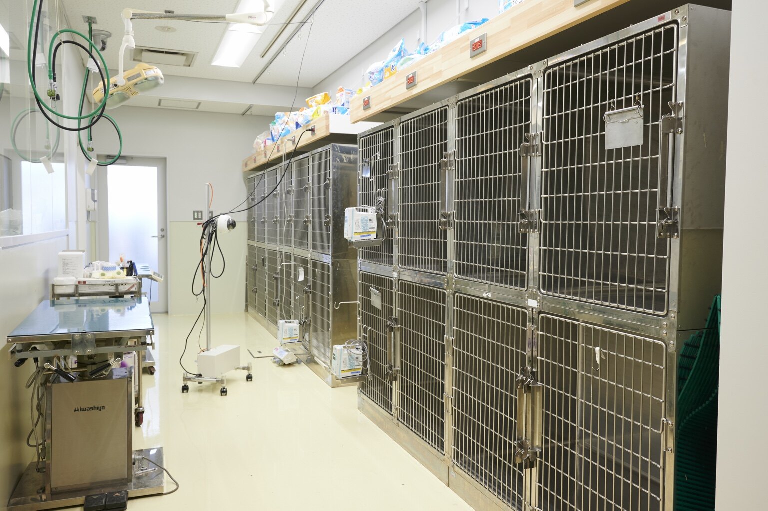 Veterinary inpatient ward